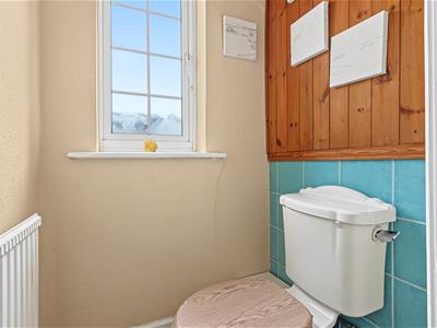 Picture 17